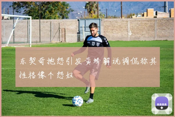东契奇抱怨引发黄蜂解说调侃称其性格像个怨妇