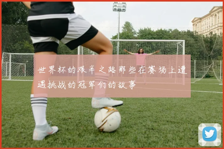 世界杯的艰辛之路那些在赛场上遭遇挑战的冠军们的故事