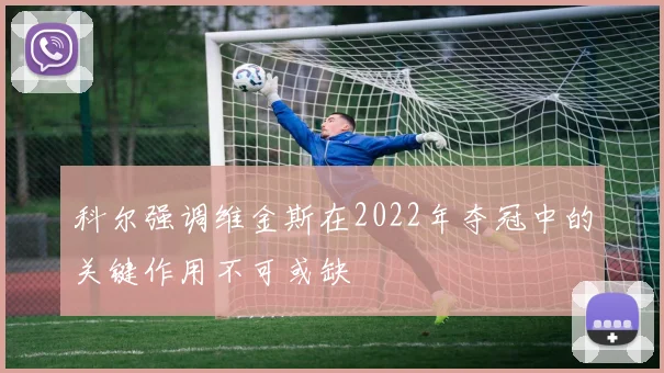 科尔强调维金斯在2022年夺冠中的关键作用不可或缺